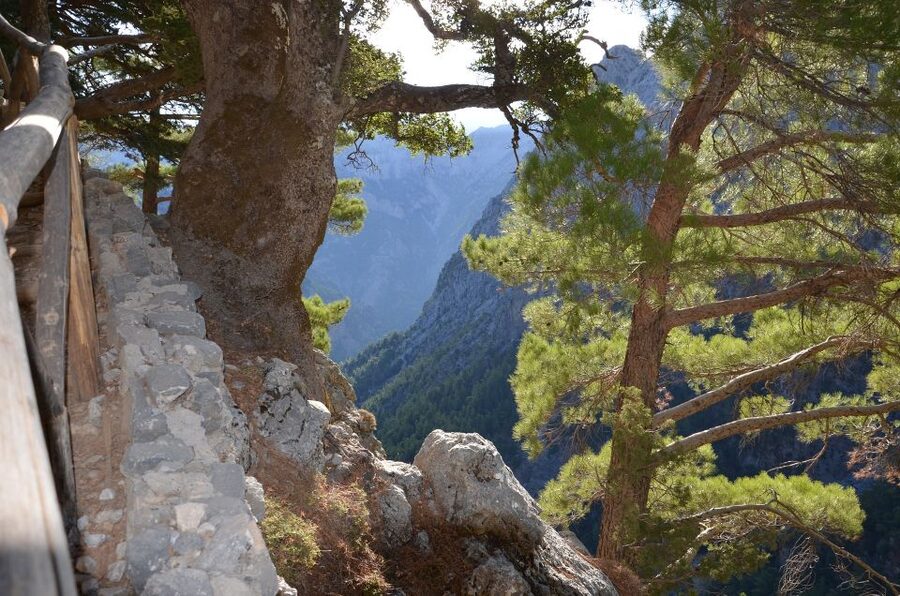 Samariá Gorge Hike: Day Excursion from Chania - Leaving Chania by coach