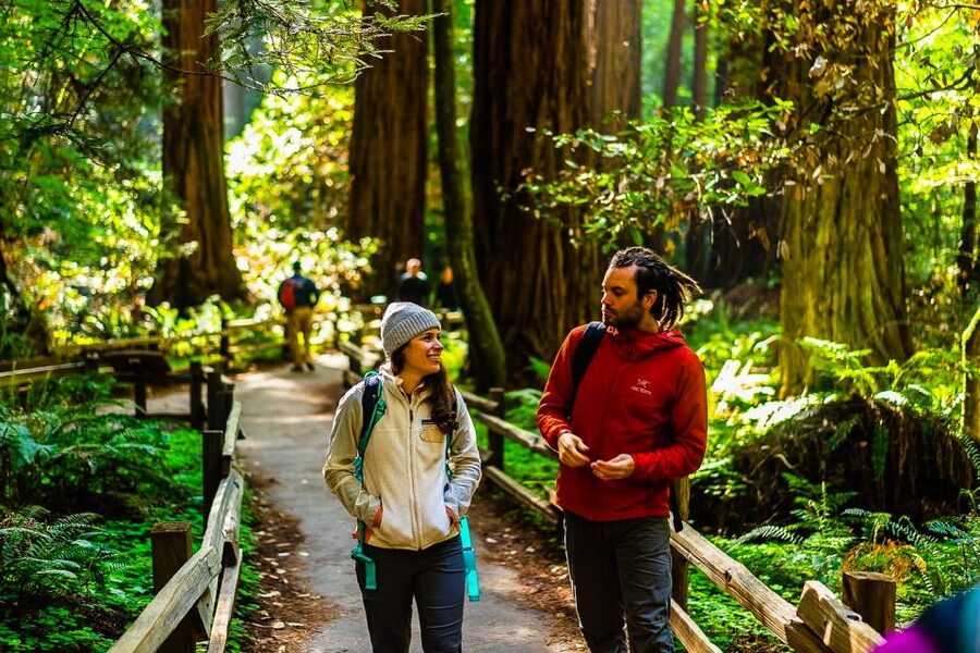 San Francisco: Muir Woods and Sausalito Half-Day Trip - FAQ