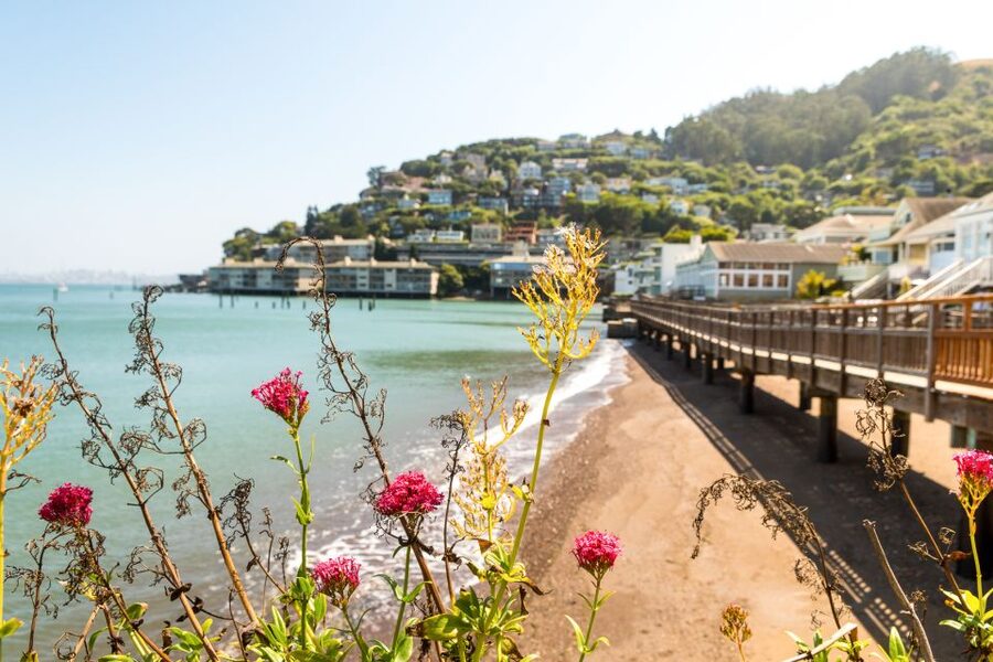 San Francisco: Muir Woods and Sausalito Half-Day Trip - Should you book the Muir Woods and Sausalito trip?