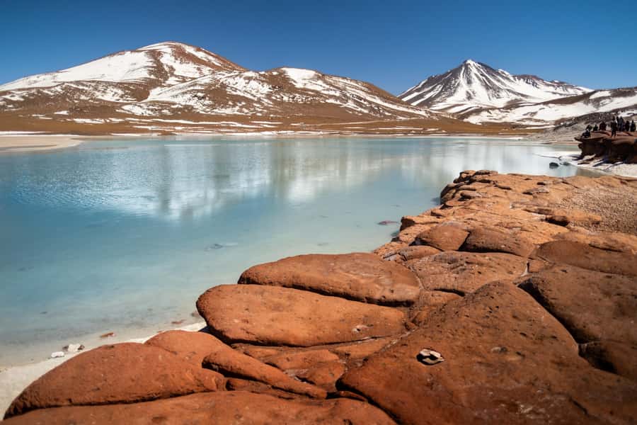 San Pedro de Atacama: Red Rocks & Altiplano Lagoons Day Trip - Chaxa Lagoon and the flamingos