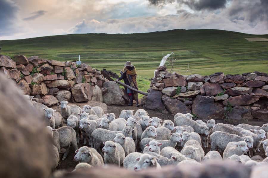 Sani Pass Day Tour from Underberg - The return down Sani Pass