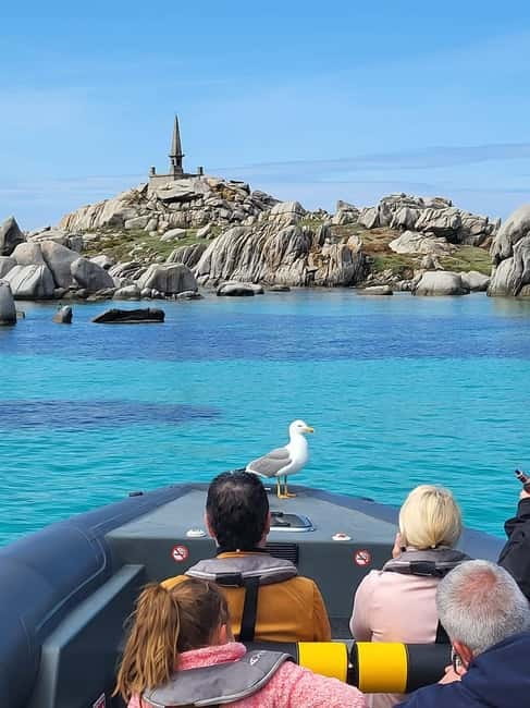 Santa-Giulia: Half-day trip, Lavezzi Islands and Bonifacio cliffs - A four-hour morning between Santa Giulia and Bonifacio