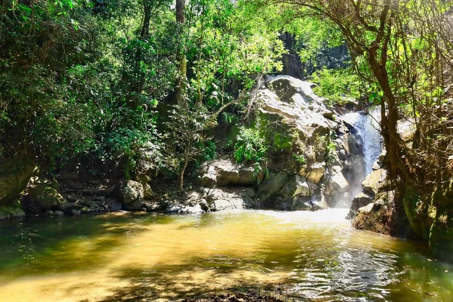 Santa Marta: Minca Coffee, Cocoa, & Waterfall Full-Day Trip - Coffee with a view of the work behind it