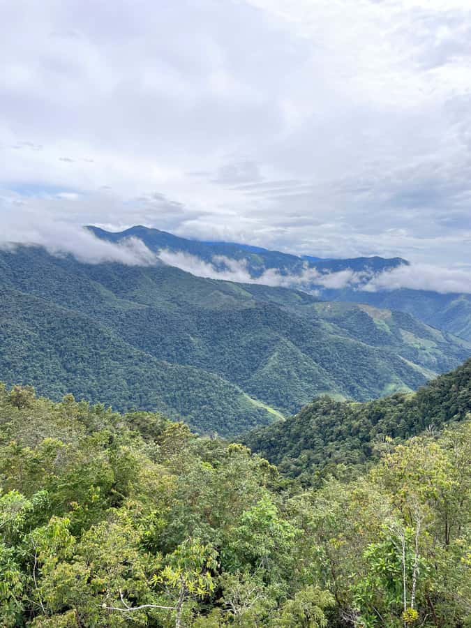 Santa Marta: Minca Coffee, Cocoa, & Waterfall Full-Day Trip - Lunch at a bamboo restaurant above Minca