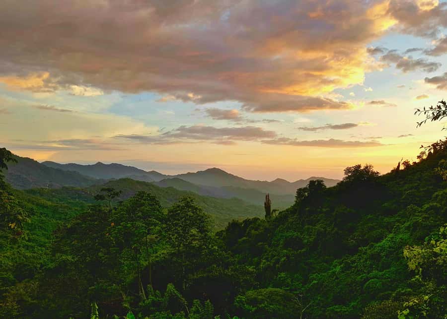 Santa Marta: Minca Coffee, Cocoa, & Waterfall Full-Day Trip - Fitness, weather, and who should book
