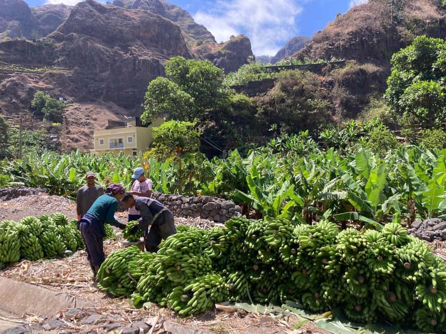 Santo Antão Highlights: Day Trip by Car with Ferry from SV - The Old Mountain Road and Cova de Paúl