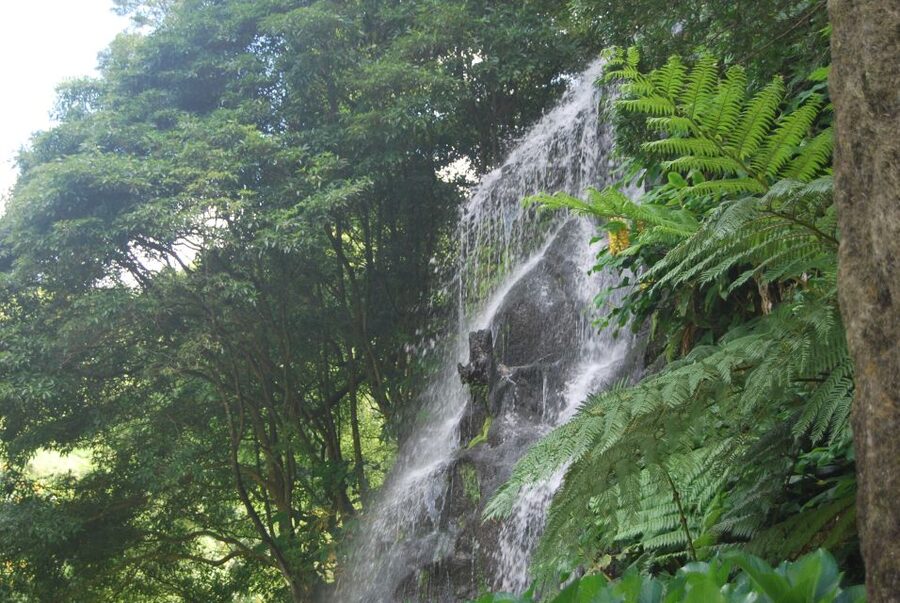 São Miguel: Nordeste, Cliffs & Waterfall Day Trip with Lunch - Waterfalls at Salto da Farinha and Cascata do Risco