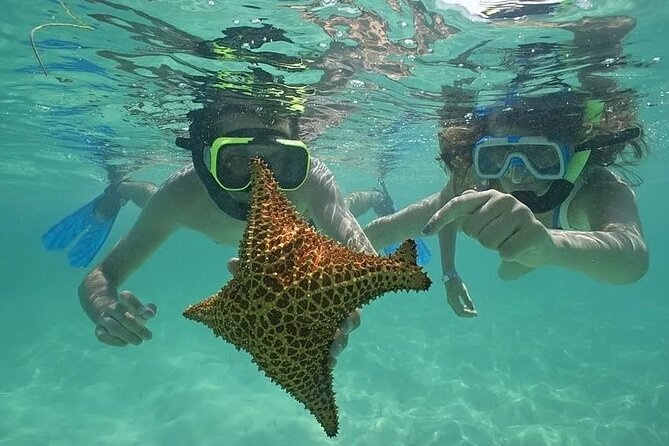 Saona Island Day Trip From Punta Cana with Lunch and Open Bar - Key points before you book
