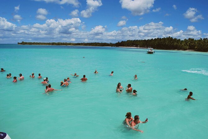 Saona Island Day Trip From Punta Cana with Lunch and Open Bar - The natural swimming pool and its starfish
