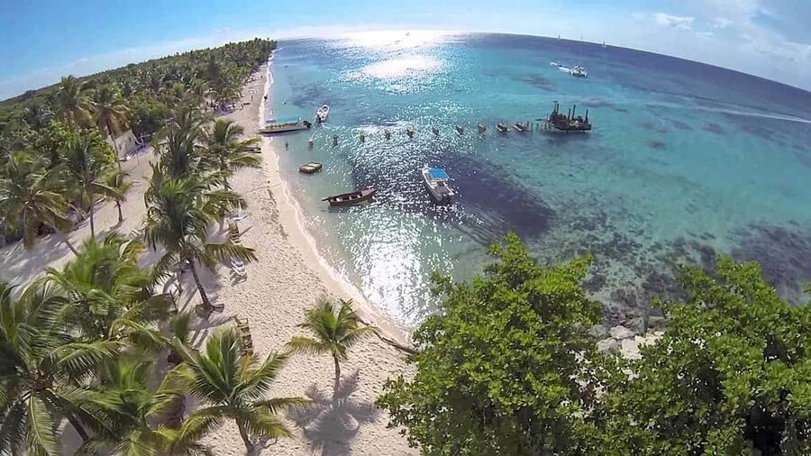Saona Island from Punta Cana Day Trip with Open Bar - Key points at a glance
