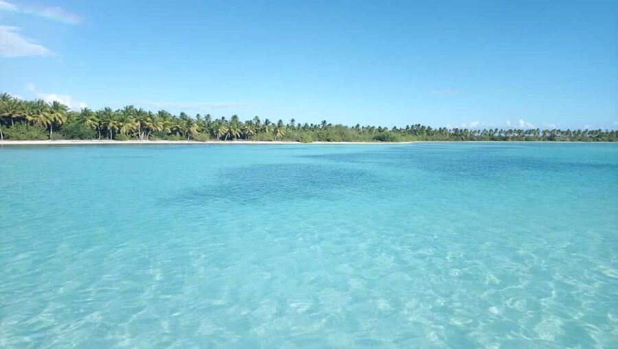 Saona Island: Small Group Virgin Beaches Cruise Day Trip - The natural pool and its protected starfish