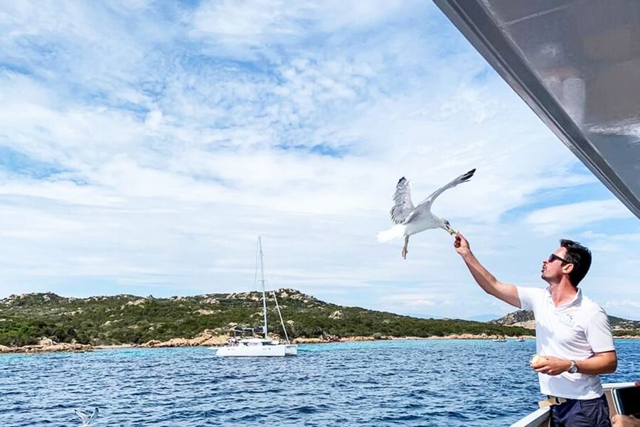 Sardinia: La Maddalena Archipelago Full-Day Trip by Boat - Boat comfort, commentary, and crew