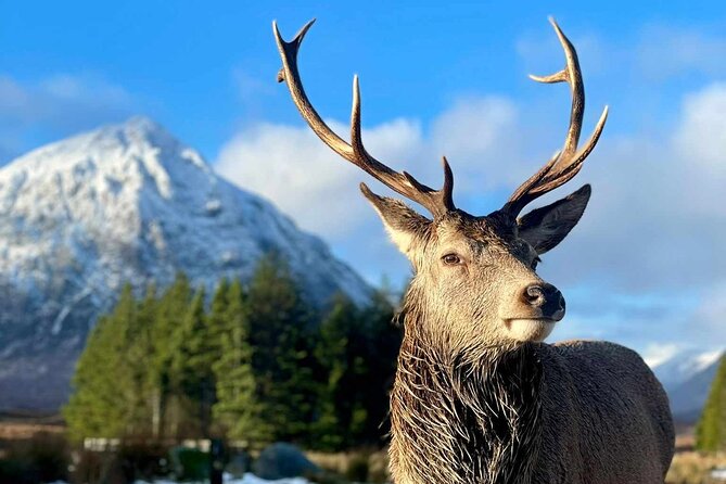 Scottish Highlands, Loch Ness and Glencoe Day Trip from Edinburgh - Food, cash, and the small details that matter