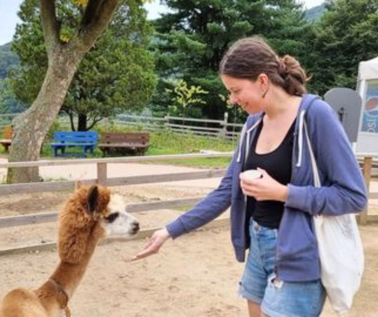 Seoul: Gangwon-do Day Trip with Alpaca World & Nami Island - Nami Island is the scenic centerpiece