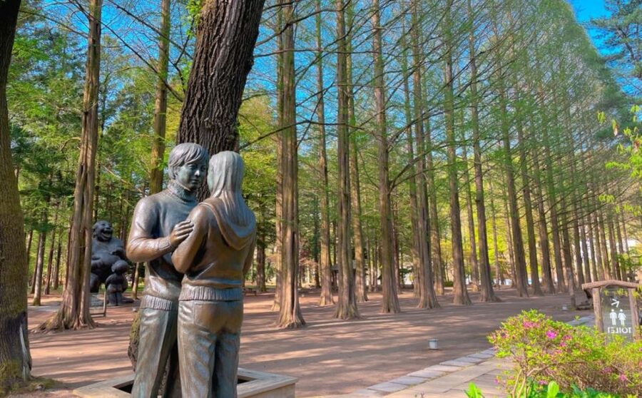Seoul: Gangwon-do Day Trip with Alpaca World & Nami Island - Guides make the tight schedule manageable