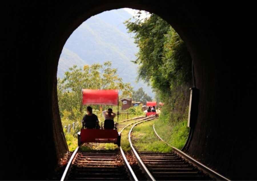 Seoul: Gangwon-do Day Trip with Alpaca World & Nami Island - Group or private service: which suits you?
