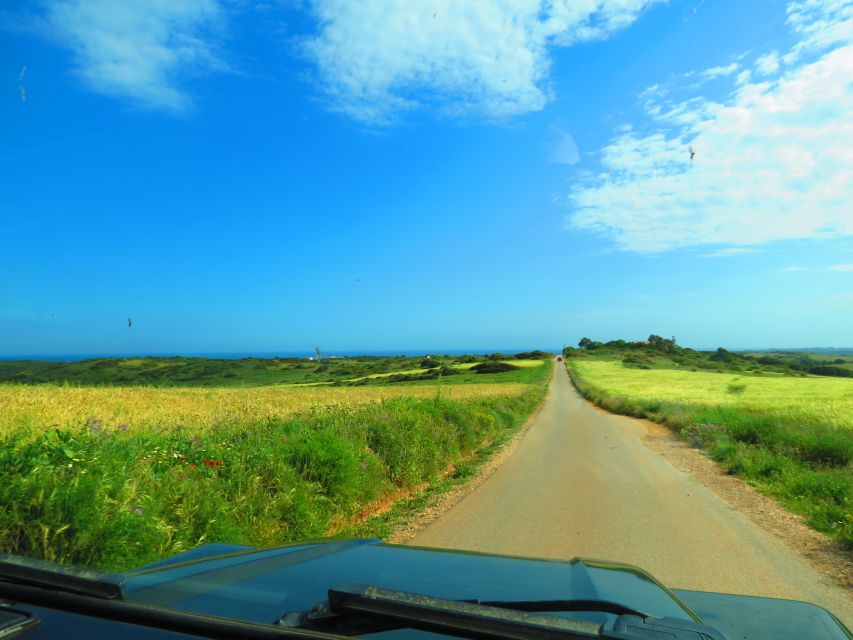 Serra de Monchique & Bravura Half Day Off-Road Day Trip - Who will enjoy this trip most