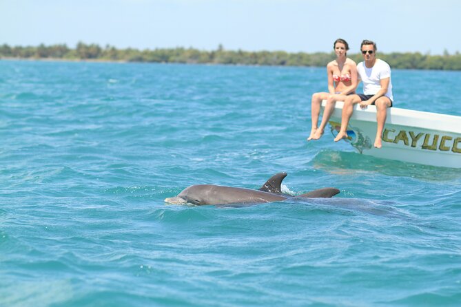 Sian Ka'an Adventure Full Day Trip to Punta Allen - Key points to know before booking