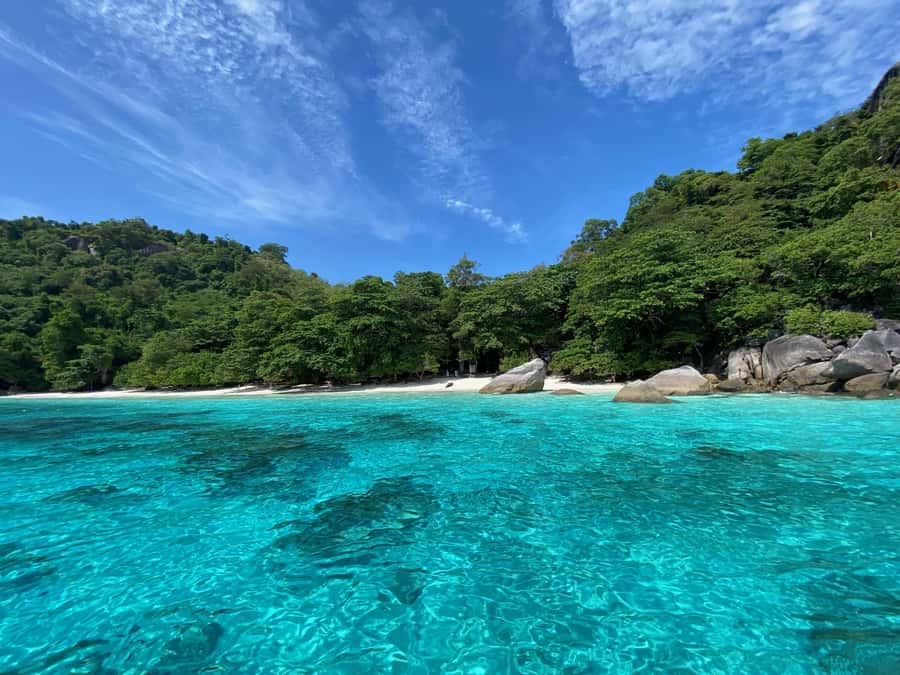 Similan Islands Early-Bird Tour From Phuket and Khao Lak! - Should you book the Similan early-bird tour?