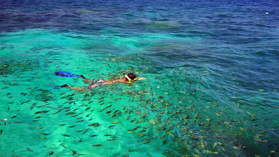 Similan Islands Early-Bird Tour From Phuket and Khao Lak! - Why the early start changes the whole day