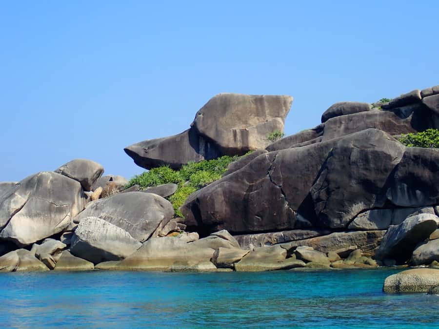 Similan Islands Early-Bird Tour From Phuket and Khao Lak! - What the $125 price really covers