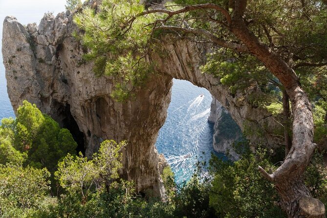 Small Group Boat Day Excursion to Capri Island from Amalfi - Key points to know before booking