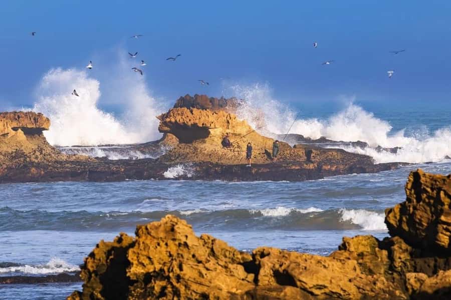 Small-Group Day Trip from Marrakech to Essaouira Mogador - Key points to know before booking