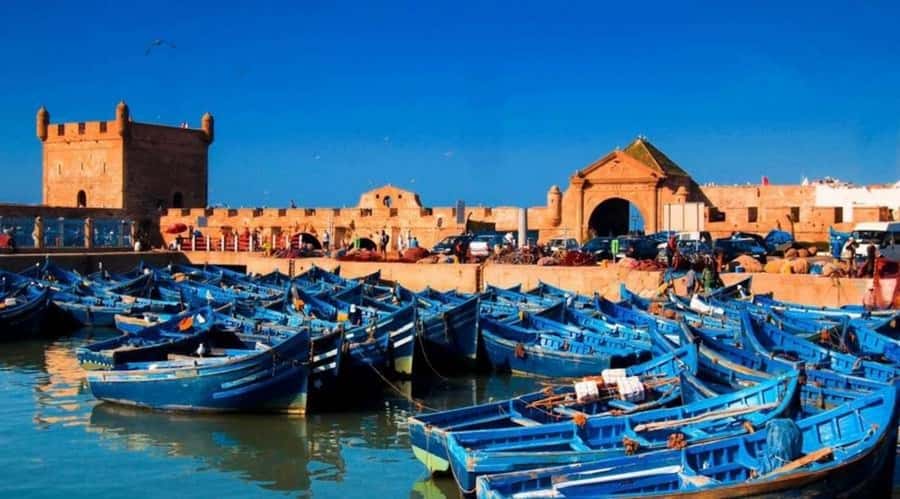 Small-Group Day Trip from Marrakech to Essaouira Mogador - Coffee and a stretch at Sidi Mokhtar