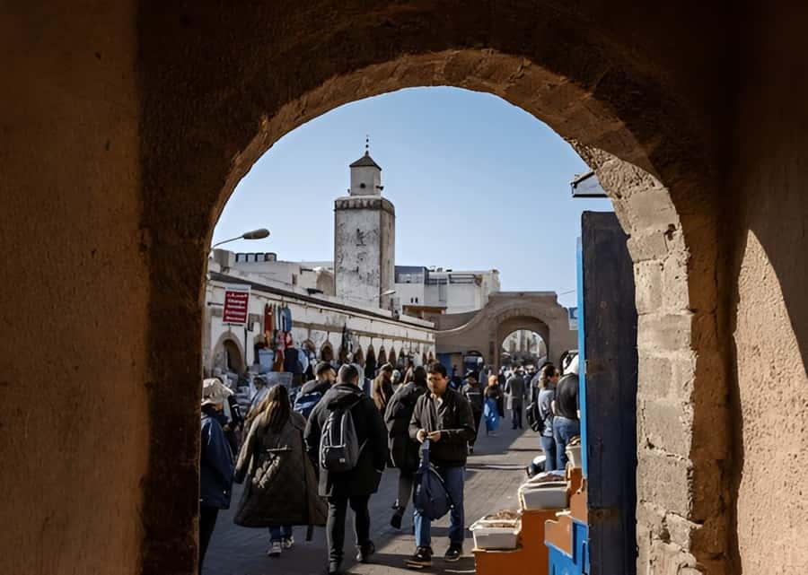 Small-Group Day Trip from Marrakech to Essaouira Mogador - What you learn at the argan oil cooperative