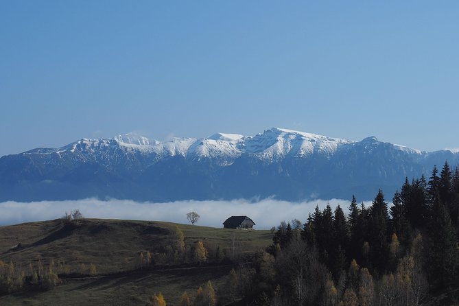 Small-Group Day Trip in Romanian Authentic Mountain Villages from Brasov - Lunch at the national park’s oldest guesthouse
