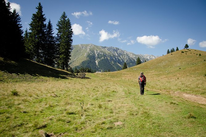 Small-Group Day Trip in Romanian Authentic Mountain Villages from Brasov - How much the $119.47 price is worth