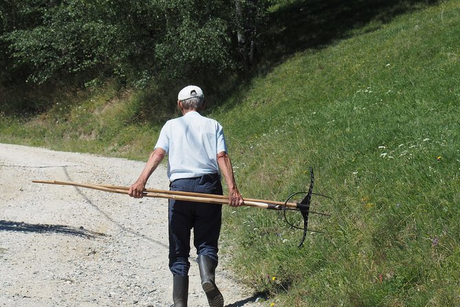 Small-Group Day Trip in Romanian Authentic Mountain Villages from Brasov - Lilicilor Cave and its resident bats