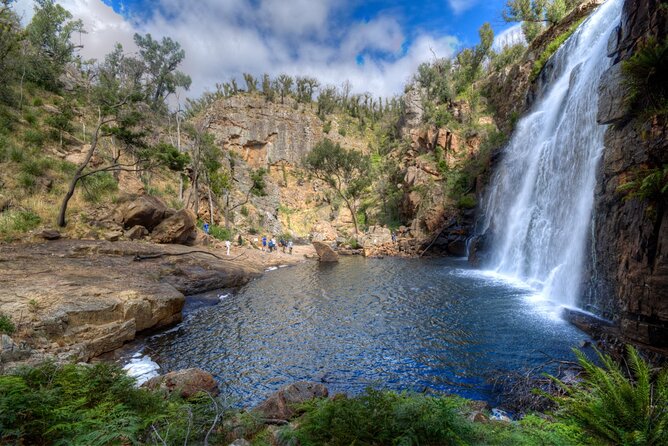 Small-Group Grampians Great Wildlife Escape Day Trip with Hiking - Boroka Lookout and the eastern plains