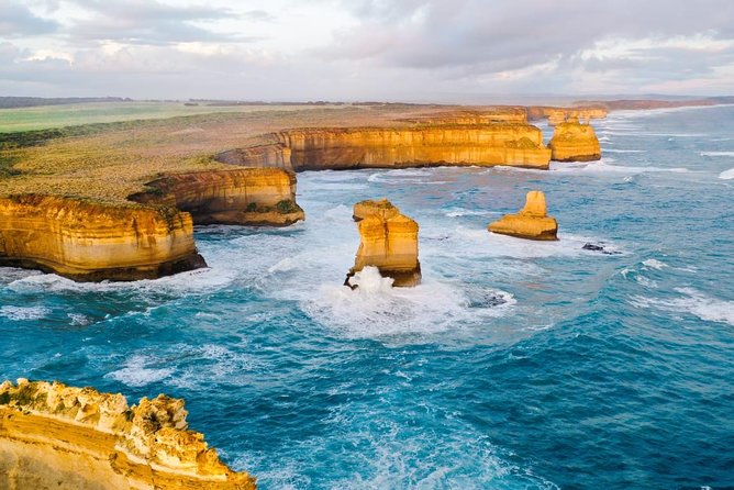 Small-Group Great Ocean Road Day Trip from Melbourne - Great Otway National Park adds forest and wildlife