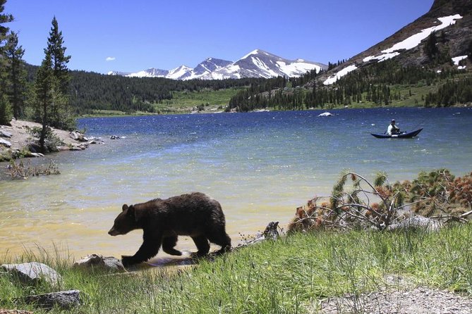 Small Group Yosemite and Giant Sequoias Day Trip from San Francisco - A 5:30 a.m. start from San Francisco