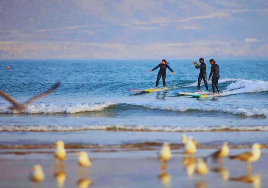 Surf Training and Lunch on Essaouira Day Trip from Marrakech - How the $70 price holds up