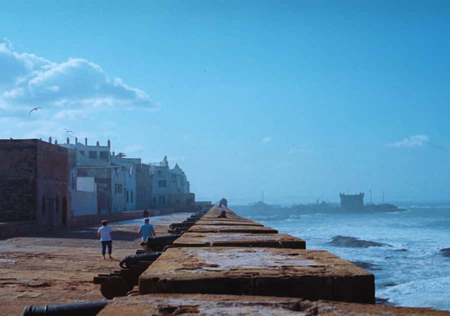 Surf Training and Lunch on Essaouira Day Trip from Marrakech - Who should book this Essaouira day trip