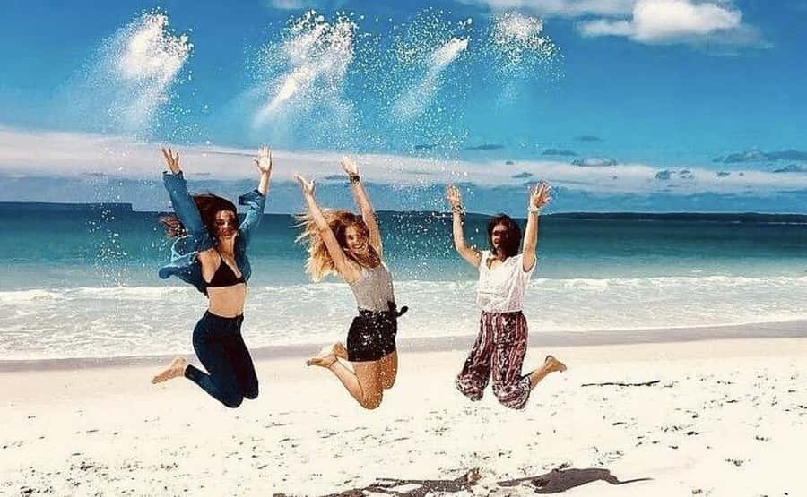 Sydney: Jervis Bay Day Trip with Dolphins, Roos & Beach Time - Key points to know before booking
