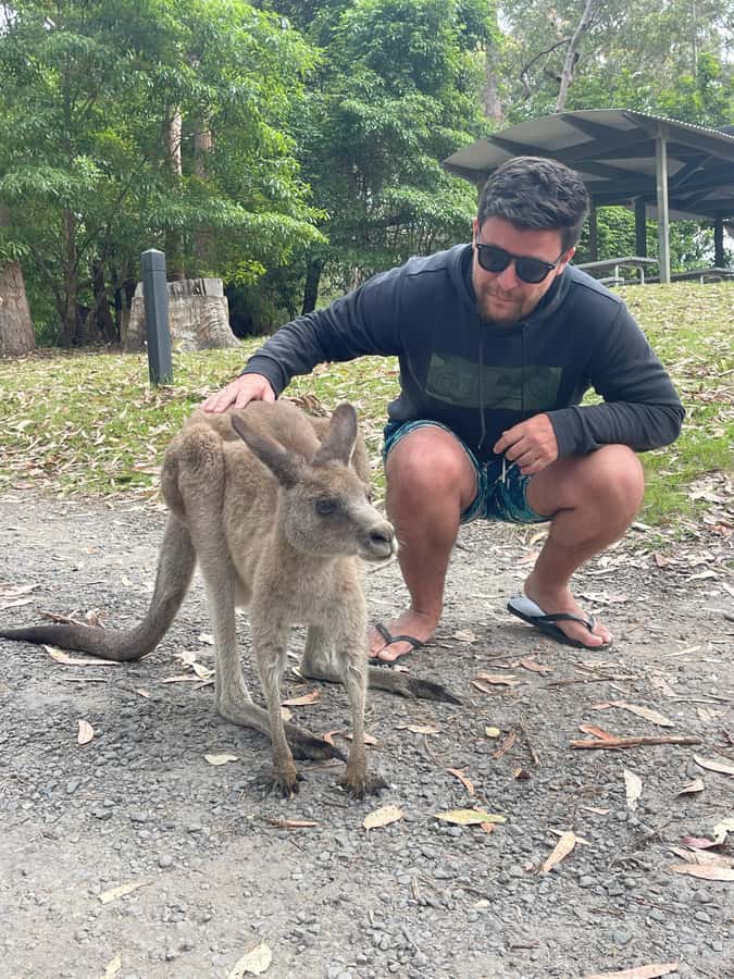Sydney: Jervis Bay Day Trip with Dolphins, Roos & Beach Time - Guides, group size, and the human side
