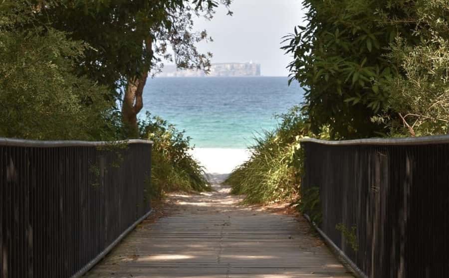 Sydney: Jervis Bay Day Trip with Dolphins, Roos & Beach Time - The dolphin cruise is the emotional high point