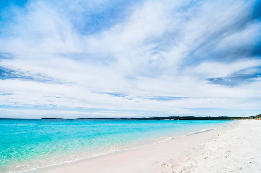Sydney: Jervis Bay Day Trip with Dolphins, Roos & Beach Time - Huskisson is your practical lunch break