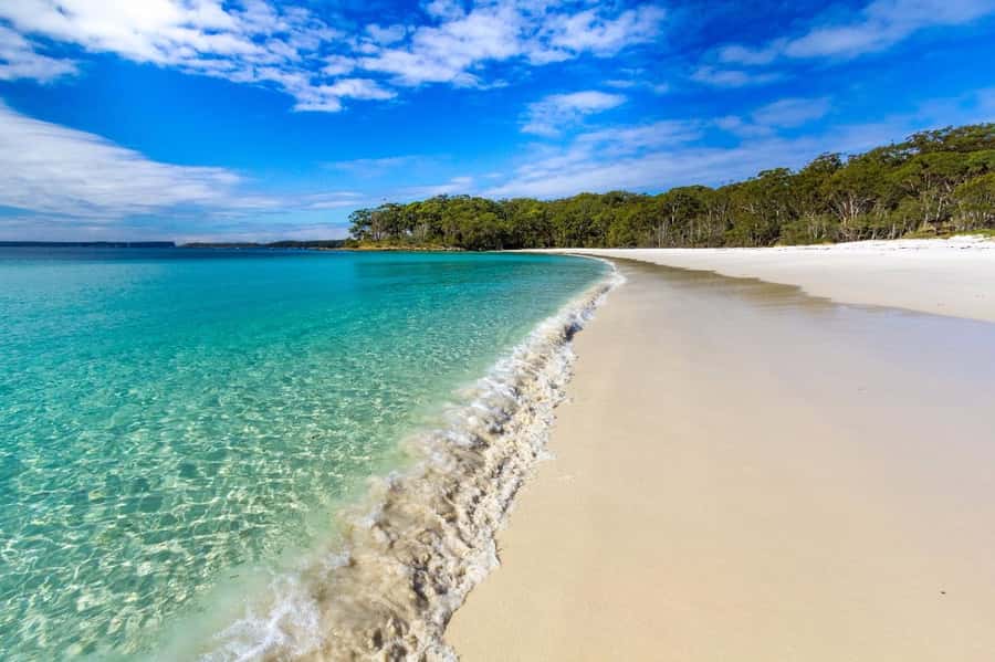 Sydney: Jervis Bay Day Trip with Dolphins, Roos & Beach Time - The drive home is part of the bargain