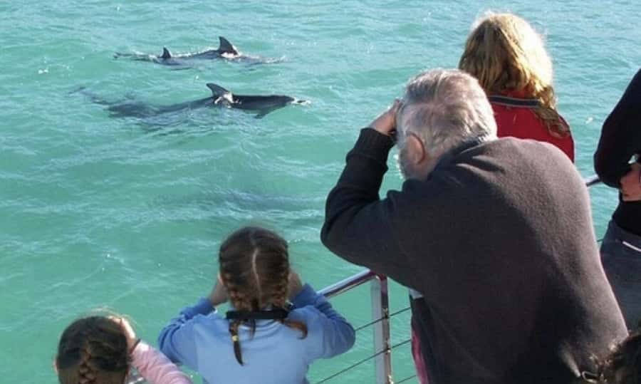 Sydney: Jervis Bay Day Trip with Dolphins, Roos & Beach Time - Meeting in central Sydney at 7am