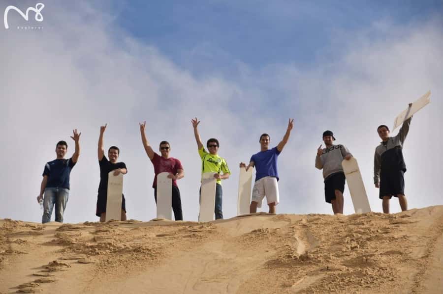 Sydney: Port Stephens Day Trip with Dolphin Cruise or Hike - Choosing the dolphin cruise