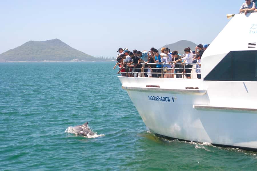 Sydney: Port Stephens Dolphin Cruise & Sandboarding Day Trip - The Port Stephens Koala Sanctuary and its tree-top walk