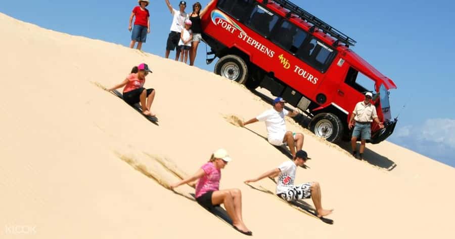 Sydney: Port Stephens Dolphin Cruise & Sandboarding Day Trip - What the $145 price really covers