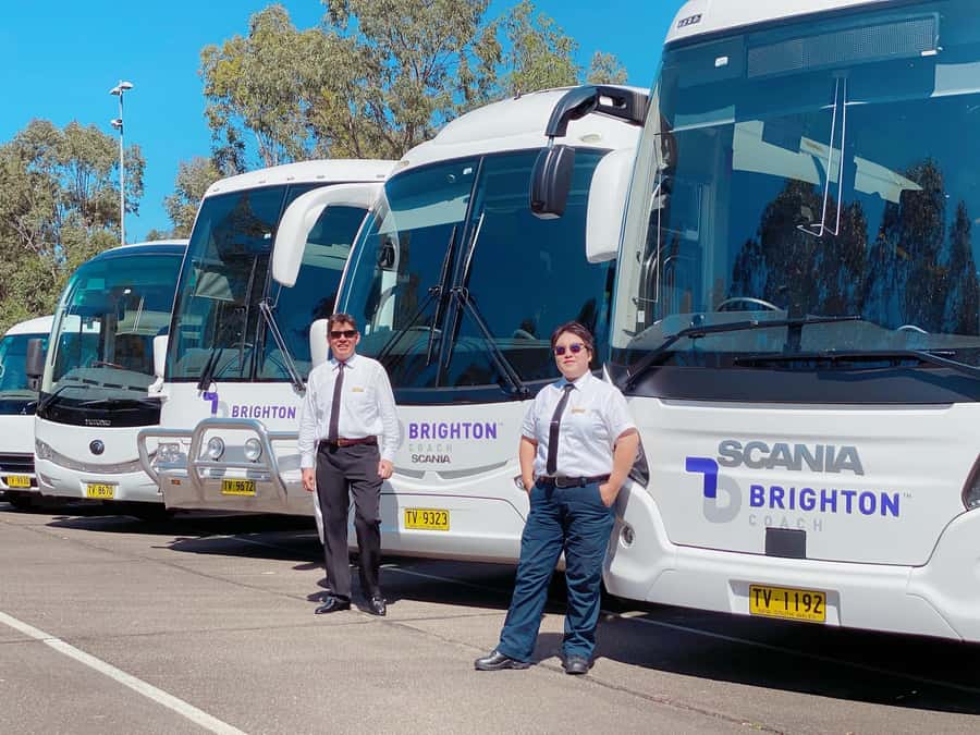 Sydney: Port Stephens Dolphin Cruise & Sandboarding Day Trip - Practical tips for a smoother day