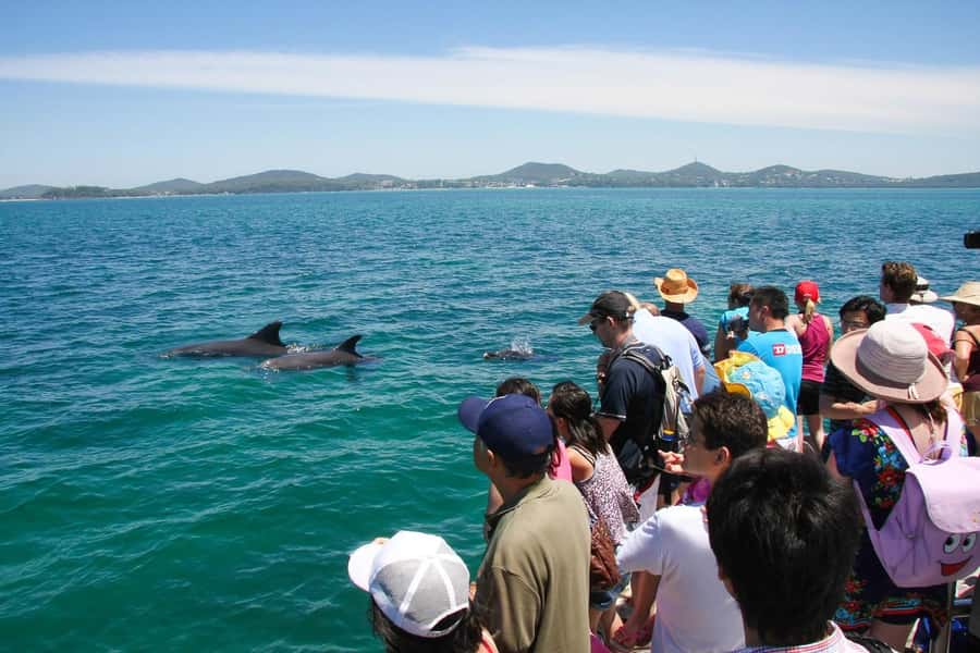 Sydney: Port Stephens Dolphin Cruise & Sandboarding Day Trip - Should you book this day trip?