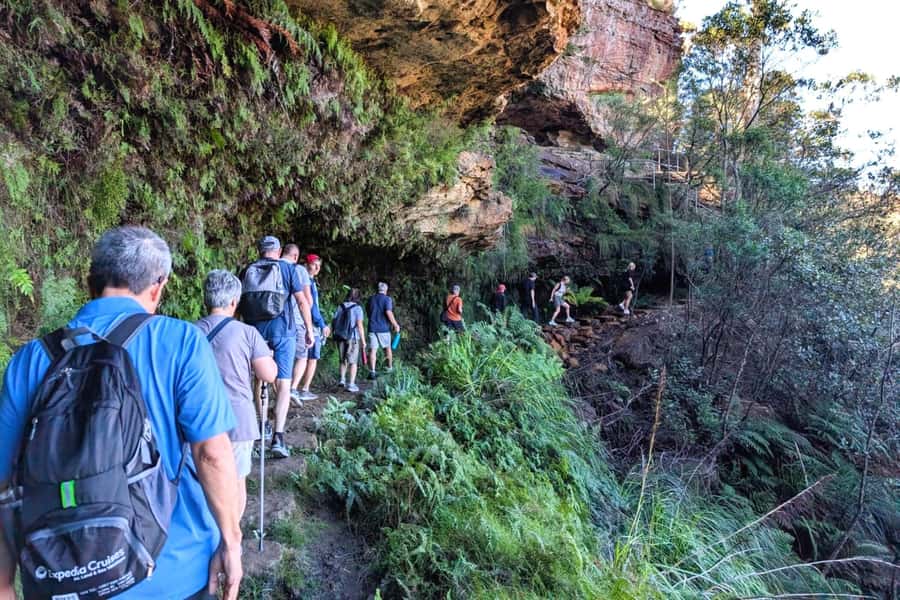 Sydney: Waterfall Bushwalk and Blue Mountain Sunset Day Trip - Why the late Blue Mountains departure works