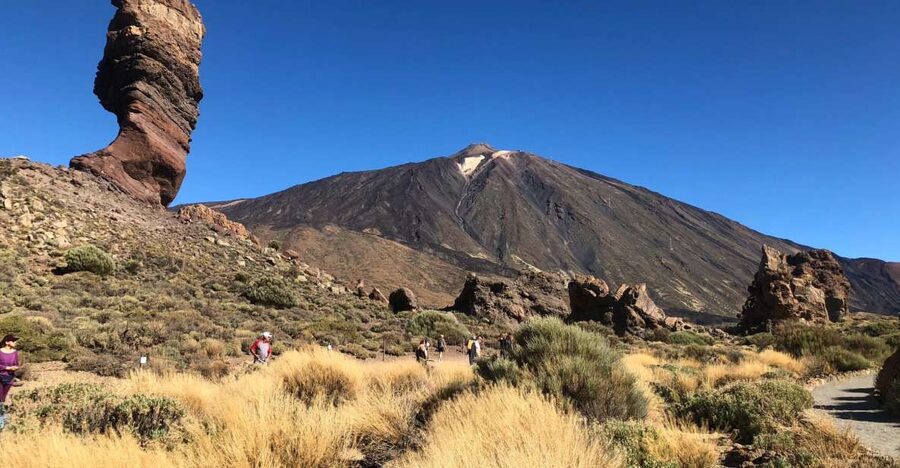 Tenerife: Mount Teide, Masca, Icod and Garachico Day Trip - Icod de los Vinos and the famous Dragon Tree